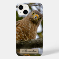 Belize Brown Roadside Hawk Bird Photography