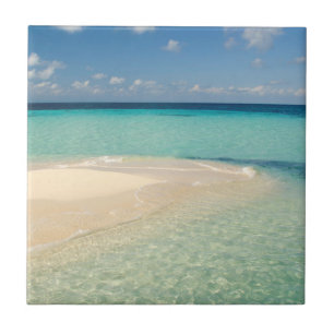 Belize, Caribbean Sea. Goff Caye, A Small Island Tile