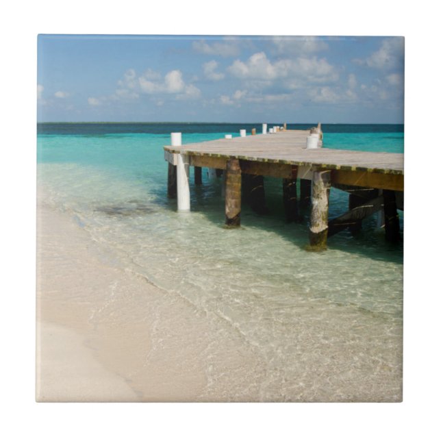 Belize, Caribbean Sea, Goff Caye. A Small Island Tile (Front)