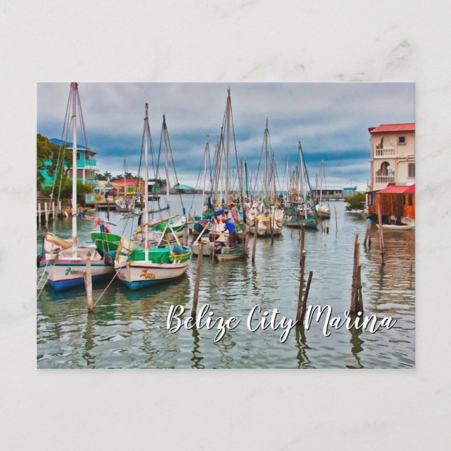 Belize City Harbour and Marina Postcard (Front)