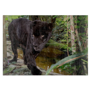 Belize City Zoo. Black panther Cutting Board