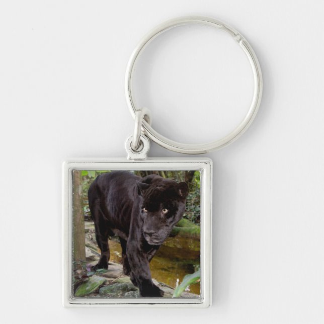Belize City Zoo. Black panther Keychain (Front)