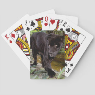 Belize City Zoo. Black panther Playing Cards
