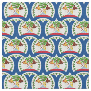 Belize Flag & Belize Trendy Fabric /fashion