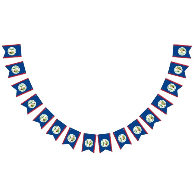 Belize flag bunting banner (All)