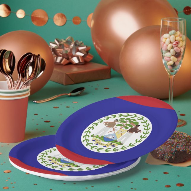 Belize flag paper plate (Multi)