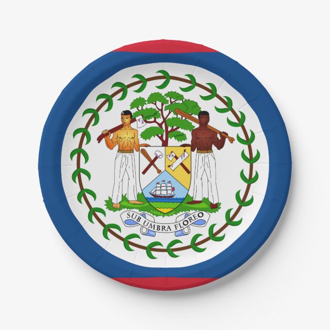 Belize Flag Paper Plate (Front)