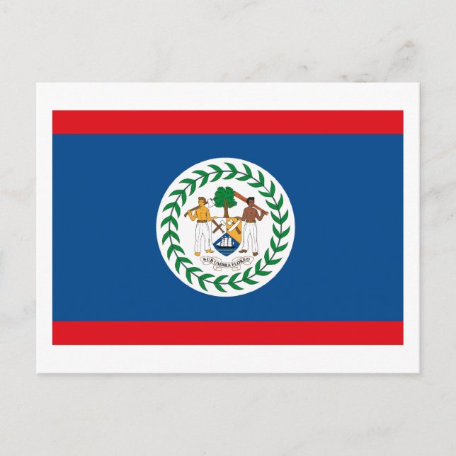 Belize Flag Postcard (Front)