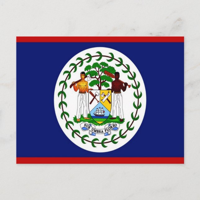 Belize - Flag - Postcard (Front)