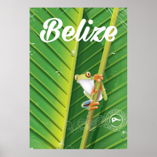 belize Frog vintage cartoon travel poster