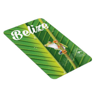 belize Frog vintage cartoon travel poster Magnet
