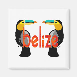 Belize it now magnet