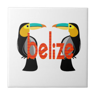Belize it now tile