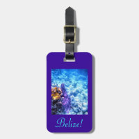 Belize Luggage Tag