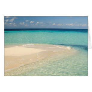 Belize, mer des Caraïbes. Goff Caye, une petite îl