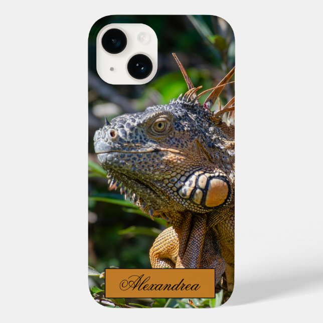 Belize Orange Iguana Lizard Photography Case-Mate iPhone Case (Back)