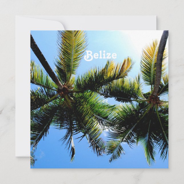 Belize Palm Trees (Front)
