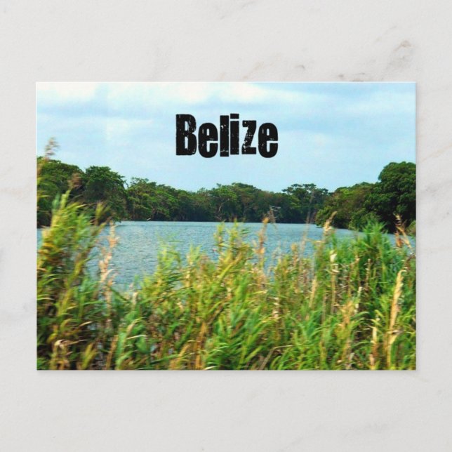 Belize Postcard (Front)