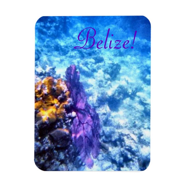 Belize! Purple Sea Fan Premium Magnet (Vertical)