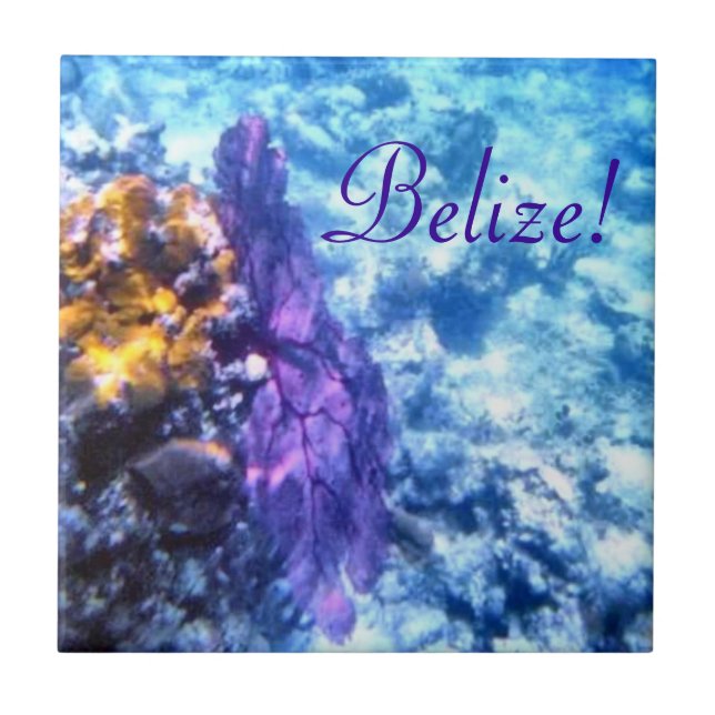 Belize! Purple Sea Fan  Tile (Front)