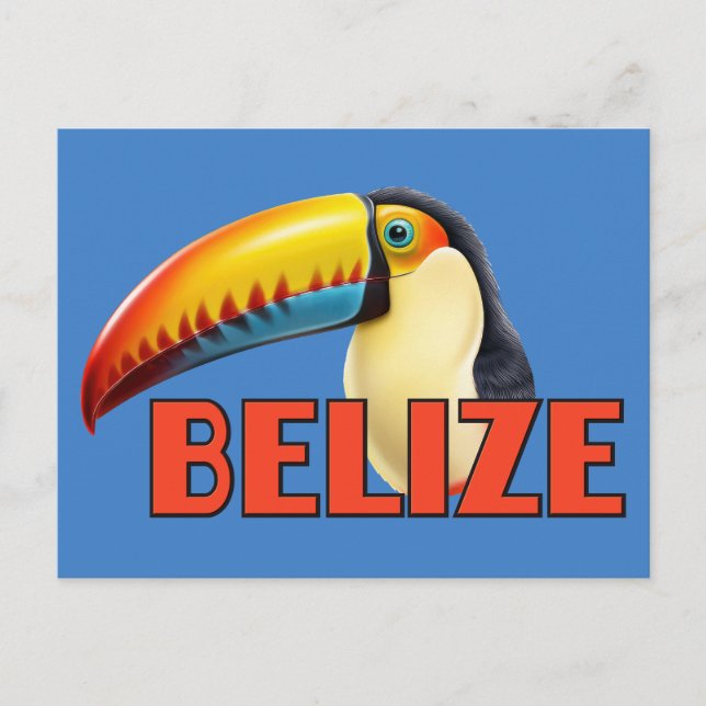 BELIZE Toucan Postcard (Front)