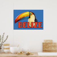BELIZE Toucan