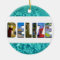 Belize Tropical Beach Blue Ocean Christmas