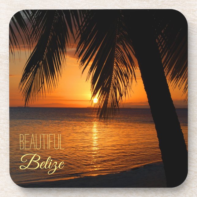 Belize Tropical Palm Tree Sunset Photograph Coaster (Front)