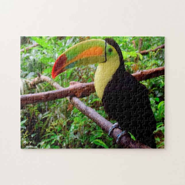 Belize Tucon Birds. Jigsaw Puzzle (Horizontal)