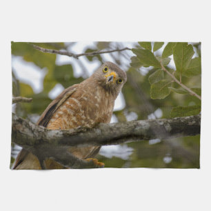 Belize Wildlife: Roadside Hawk Photography Kitchen Towel