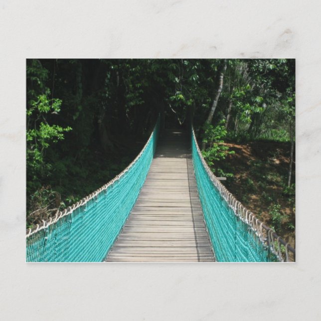 Belize Wooden Bridge Postcard (Front)