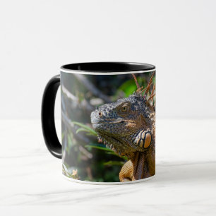 Belizean Orange Iguana - Photography Art Mug