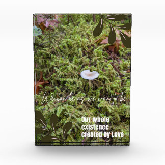 Belknap Mushroom with Quote Photo Block