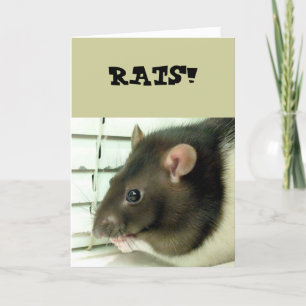 Bell Le Rat S'En Sortir Carte Bientôt