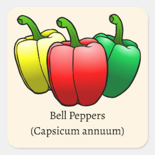Bell Peppers Square Sticker
