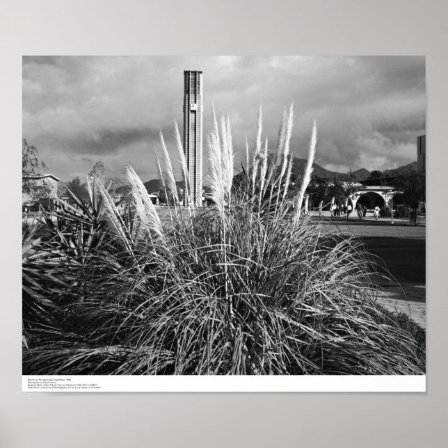 Bell Tower, Pampas Grass, December, 1966 Poster (Front)
