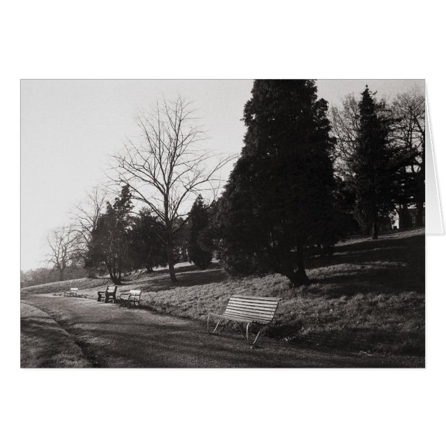 Bell Vue Park, Newport, Mon (Dec 1977) (Front Horizontal)