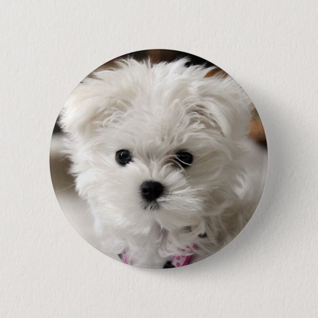 Bella 2 Inch Round Button (Front)