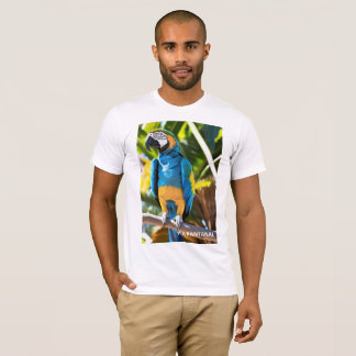 Bella+Jersey Arara short sleeve shirt