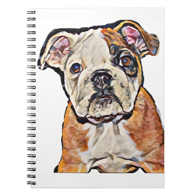 Bella Knows Notebook (Front)