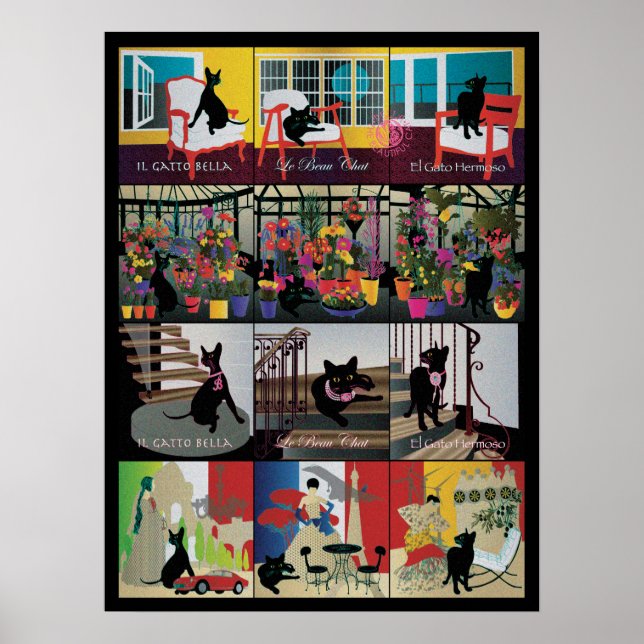 Bella : La belle affiche du chat 18"x24" (Devant)