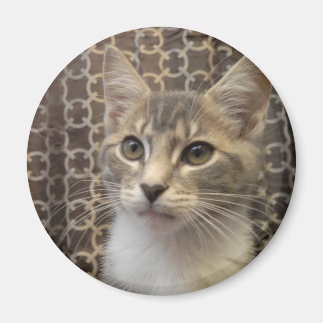 Bella Magnet (Devant)