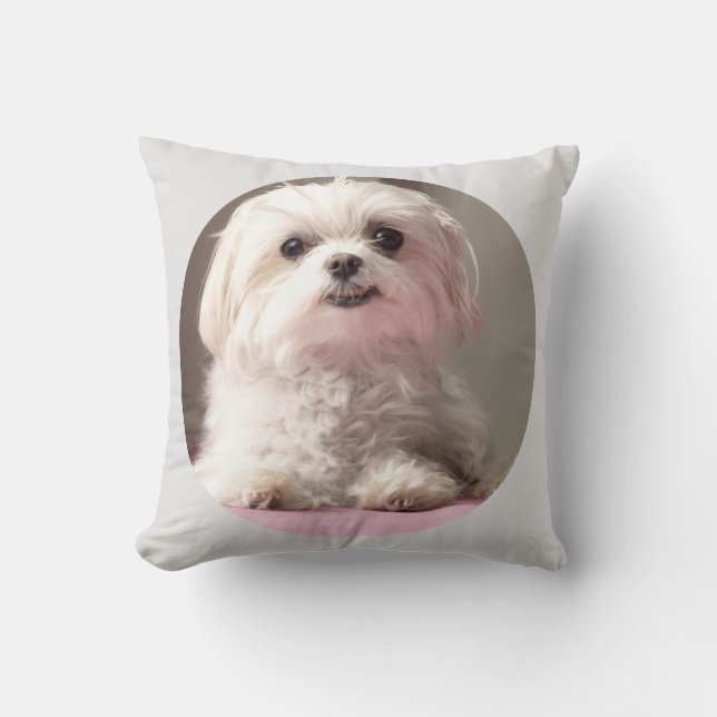 Bella nous a laissés partir voient le coussin (Recto)