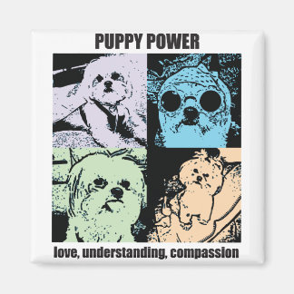 Bella Puppy Power Magnet