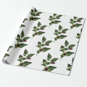 Belladonna Wrapping Paper