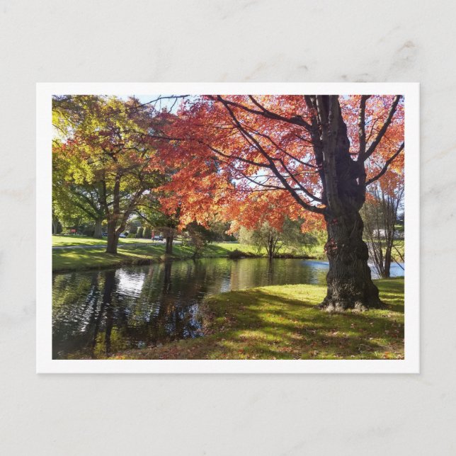 Bellarmine Pond, Fairfield University Postcard  (Front)