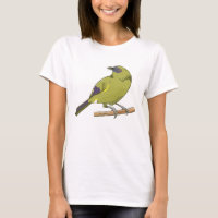 Bellbird Korimako NZ bird