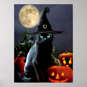 Belle affiche de chat Halloween