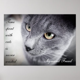 Belle affiche de citation de chat - Motivational