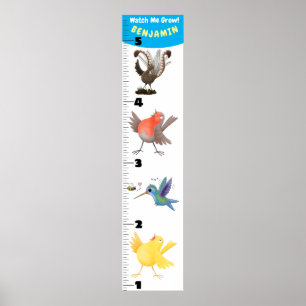 Belle affiche de dessin animé d'oiseaux amusants
